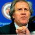 ONG’s venezolanas solicitan a Almagro activar Carta Democrática