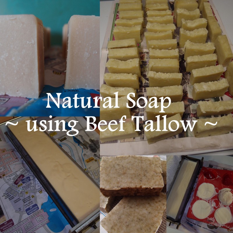 eight acres: natural soap using beef tallow