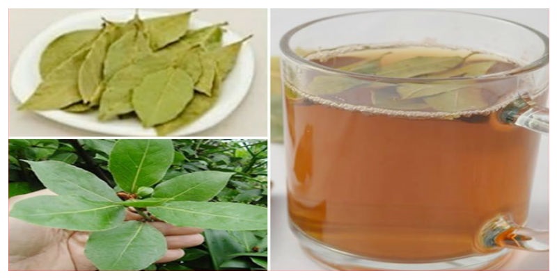 Removes Diabetes, High Blood Pressure, Fats And Cures Insomnia: They ...