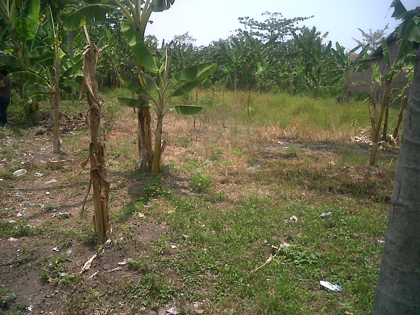 ANDREW PROPERTY DI JUAL TANAH MURAH DI BAWAH HARGA PASAR