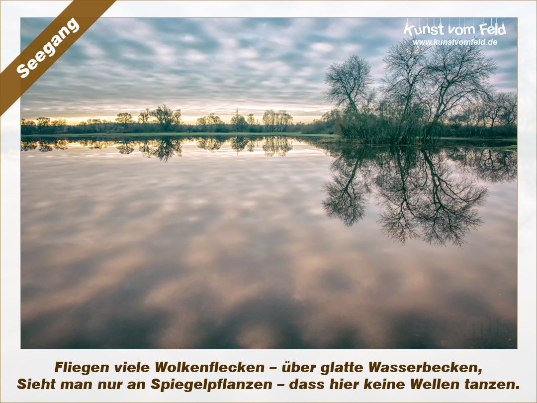 Ruckblick Melt Festival Mein Erstes Mal Glamping Mit My Molo