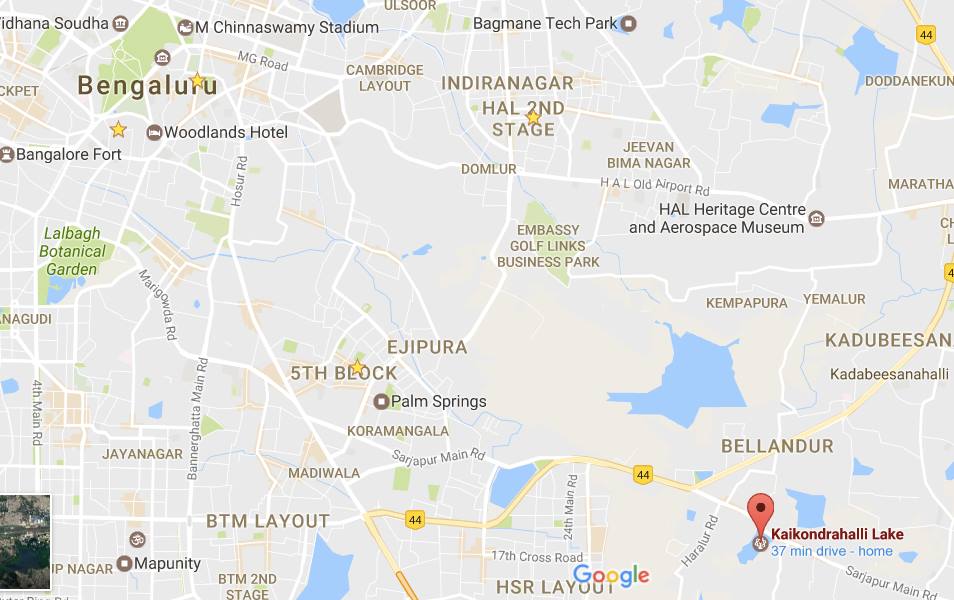 Biome Trust Visit to Kaikondrahalli Lake for collecting data (Part 1