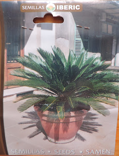 cycad seed packet cycas semillas iberic