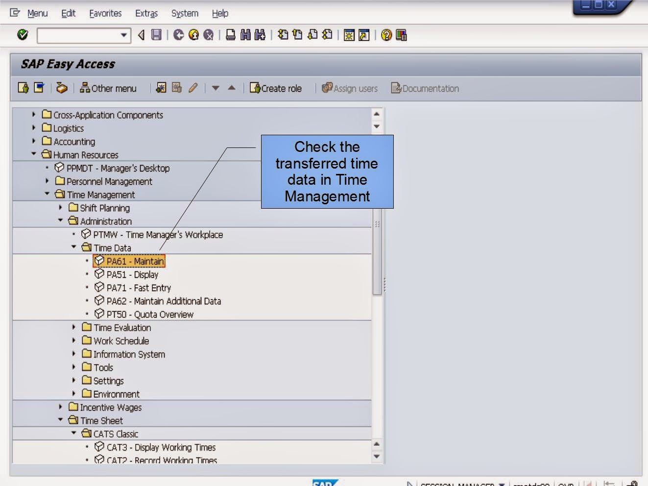 青蛙SAP分享 Froggy's SAP sharing SAP HCM Time Management CATS Approval