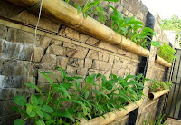 Huertas caseras con cañas de bambú