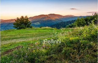 England countryside natural stewardship challenge payments likely legal late land research farmers dyke use current path savills under funding buckling Pellinni Photography: New Countryside content