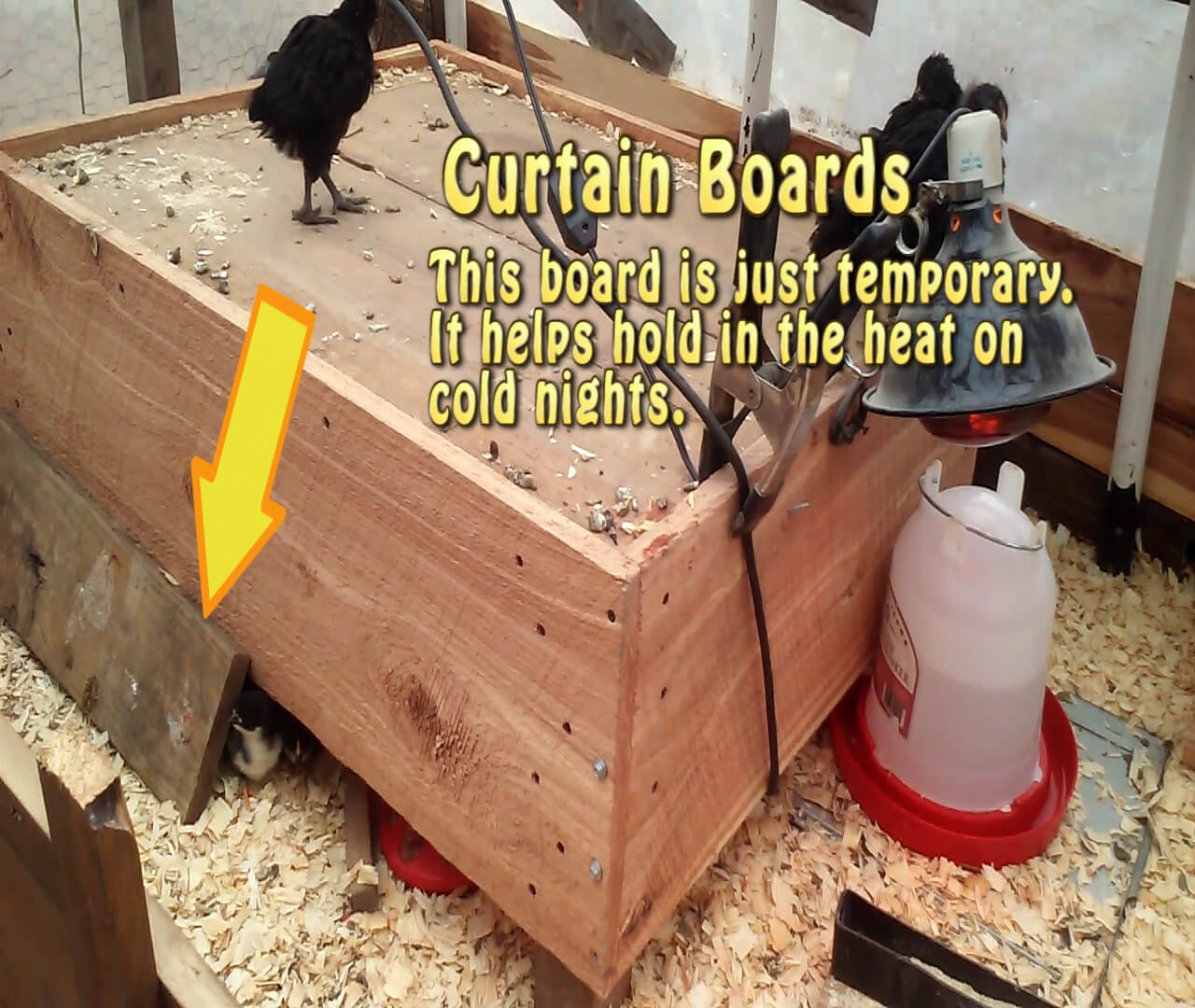 Building A Ohio Brooder For Chicks building-a-ohio-brooder-for-chicks