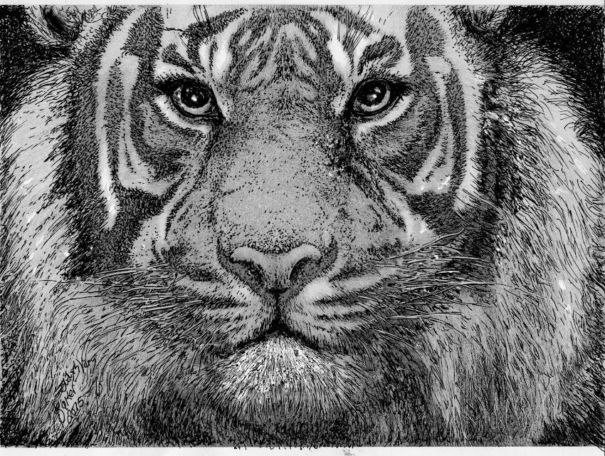 "Tiger"  Buy Art and Help Support Our Conferences!