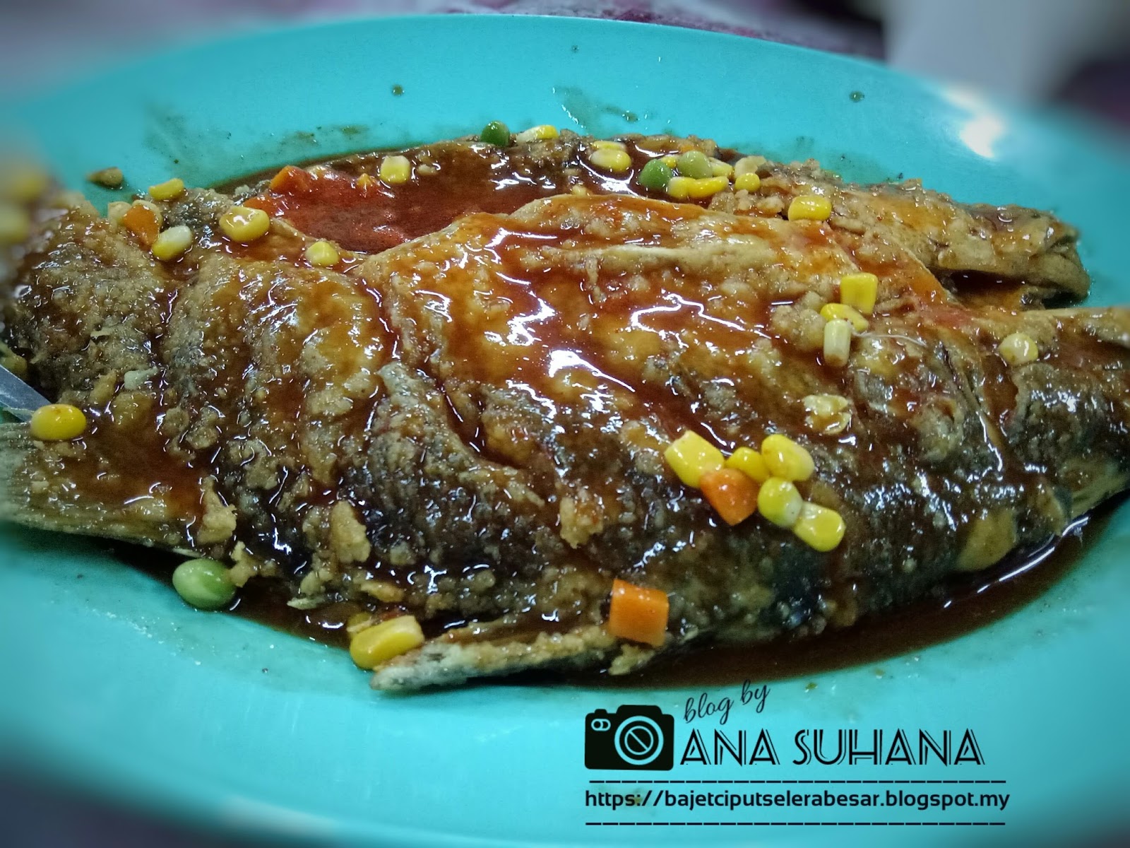 Tempat Makan Popular di Cherating : Warung Awang Ikan Bakar (WAIB)
