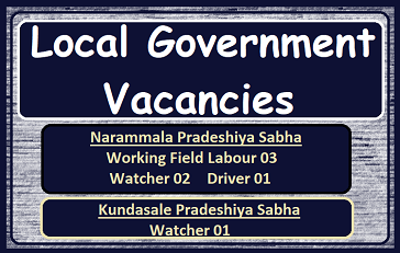 Local Government Vacancies