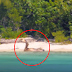 LOOK: Footage Of A Real Life Mermaid Seen In This Island Caught The Attention Of The People!