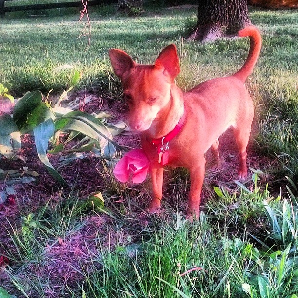 Don’t Forget to Stop to Smell the Flowers