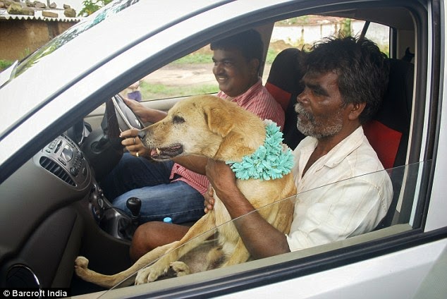 Indian Girl forced to marry DOG to fend of Evil Spell