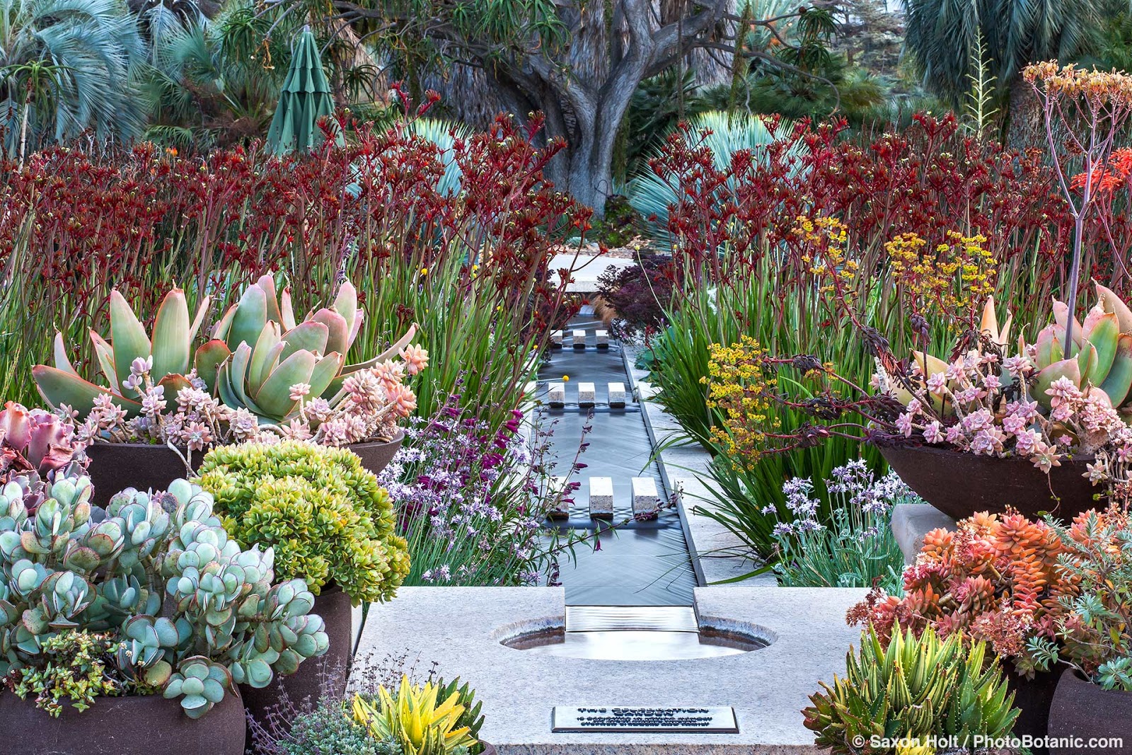 Uses of Ornamental Plants in Landscape Architecture Κατηγορίες