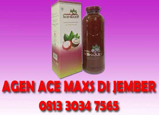 agen jual ace maxs jember