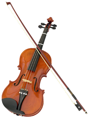 Sự phát triển của đàn violin ở nước ta