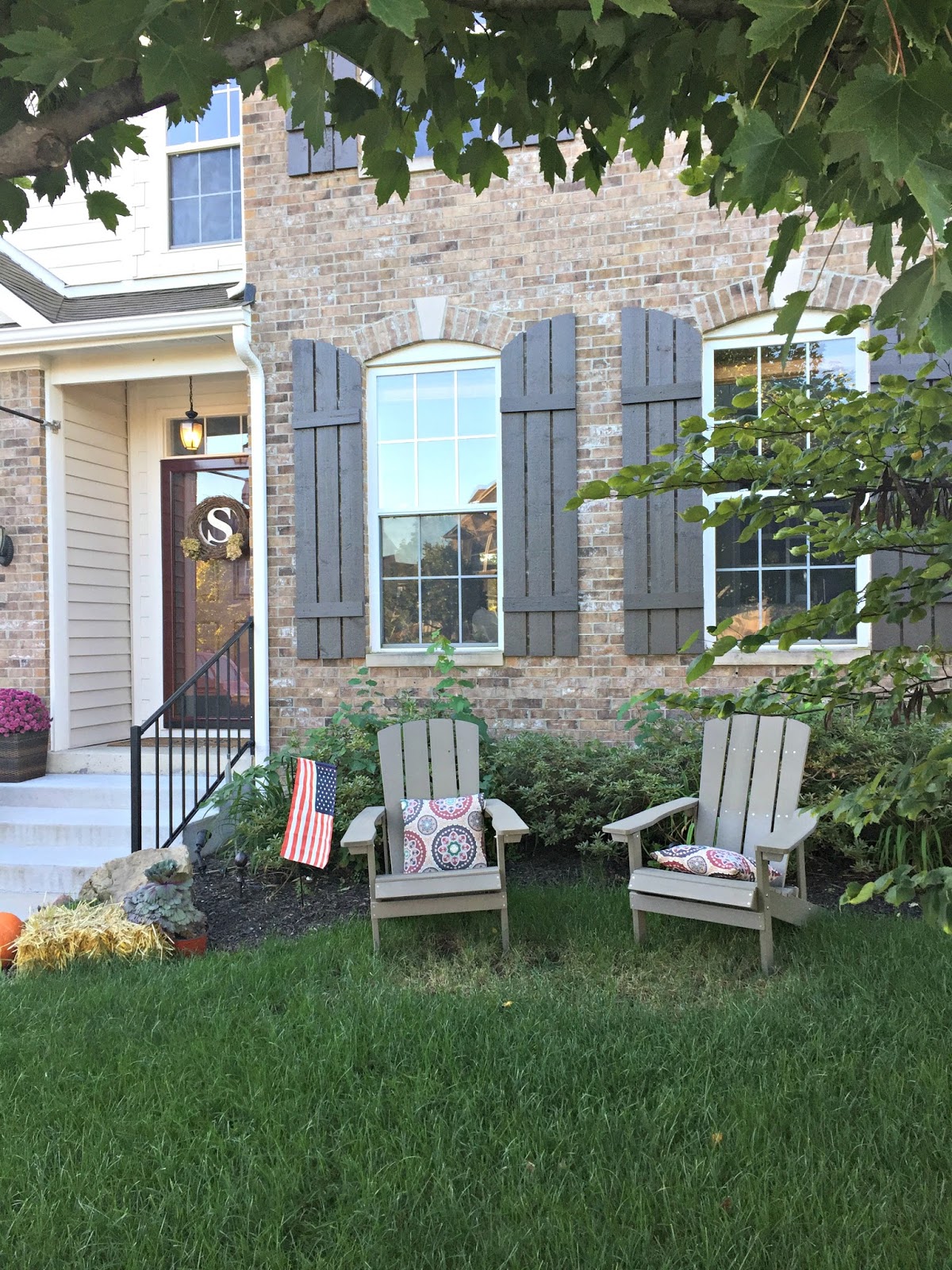 Fineline Buckthorn Lake Garden Outdoor Landscaping Drought