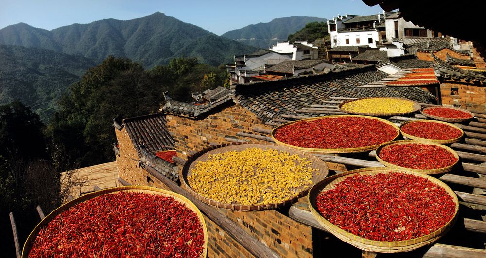 Fruit Drying in Huangling