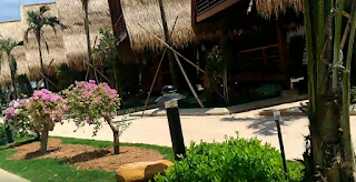paket wisata karimunjawa hotel java paradise