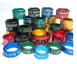 Muhabbet Kusu Bilezigi Nedir Neden Takilir Mubishanem