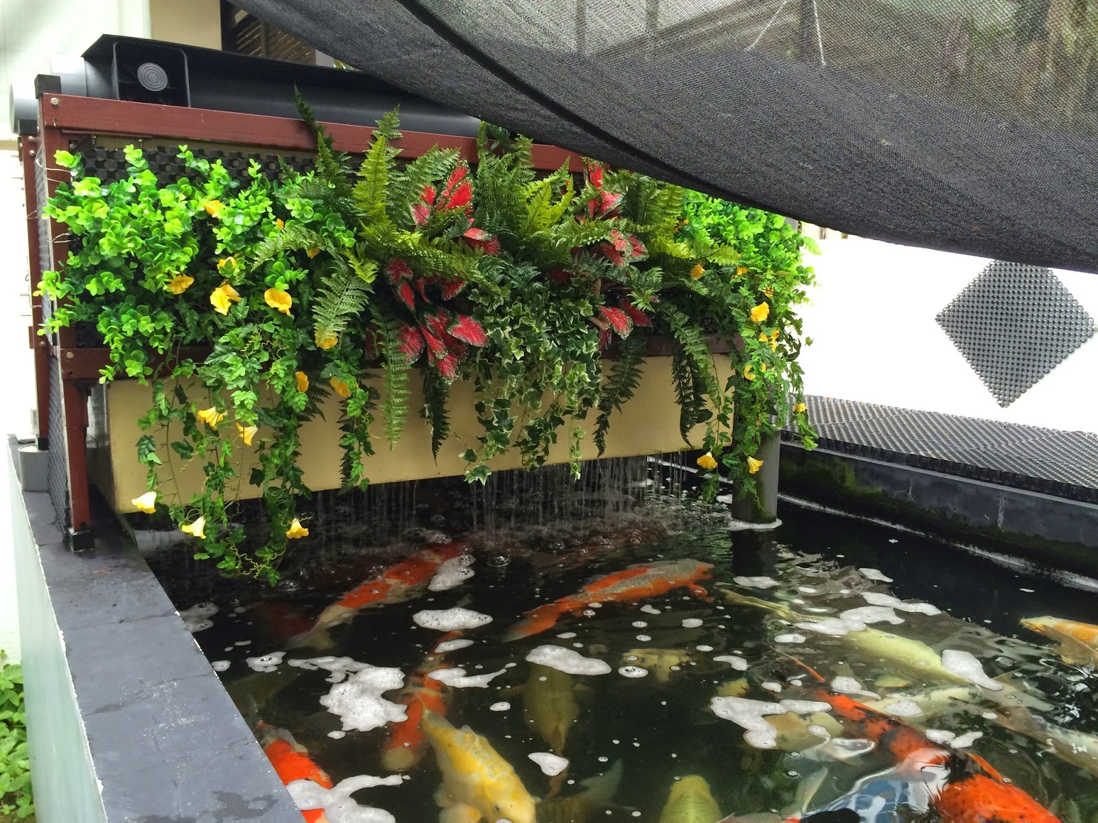 retaining-wall-block-koi-pond4