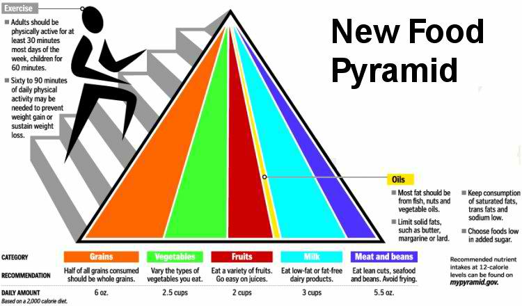 2012 Food Pyramid