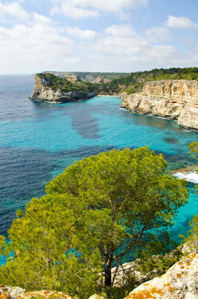 Dreams in HD: Travel :: Mallorca, Spain