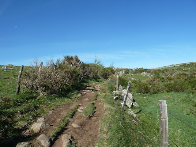 [CR] VTT BUL : Itinérance dans l'Aubrac du 15 au 17 mai 2017 P1100451