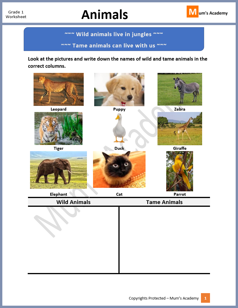 Animals For Grade 1