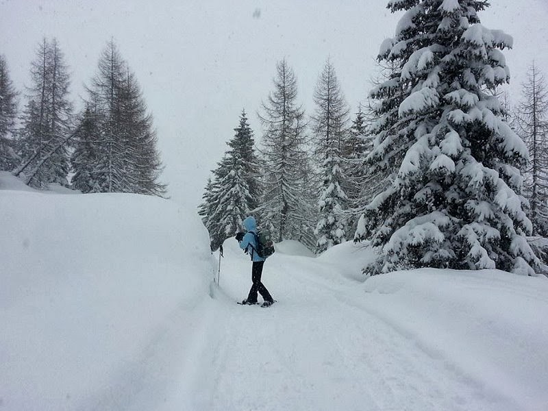 ciaspolare dolomiti val Zoldo