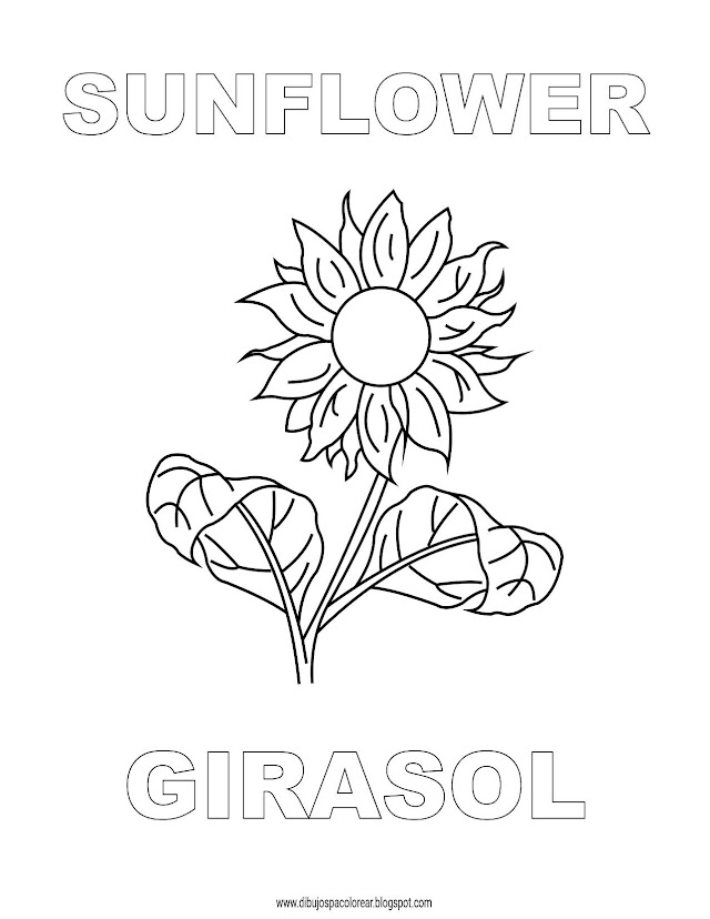 Dibujos Inglés - Español con G: Girasol - Sunflower