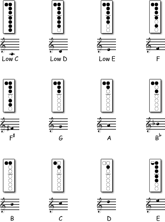 note recorder guitar