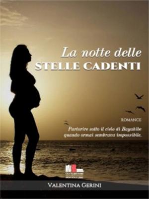 La notte delle stelle cadenti, Valentina Gerini (Romance) - Gli scrittori della porta accanto La notte delle stelle cadenti, Valentina Gerini (Romance) - Gli scrittori della porta accanto