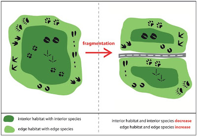 Publicaciones TSP: Landscape fragmentation in Europe