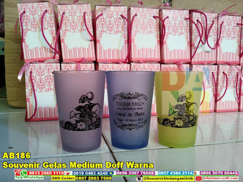 jual Souvenir Gelas Medium Doff Warna