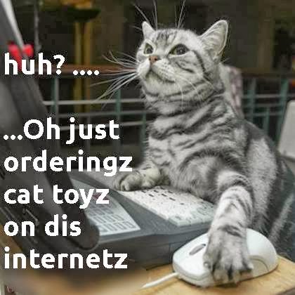 Cat ordering toys on the internet