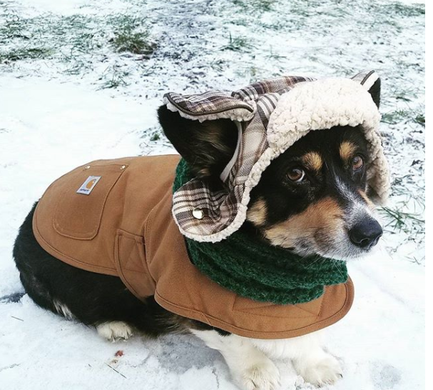 Take a Peek at our Week Jan 7th 13th clothes, pictures