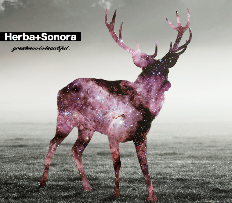 Herba+Sonora  Film Production Company