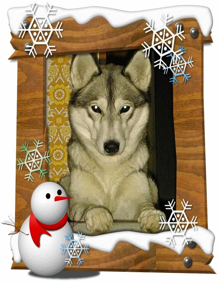 http://2.bp.blogspot.com/-HUCG_THhpDc/UrmJdnSHyHI/AAAAAAAAAwU/j7LIXkGZskY/s1600/RiffelDXM.JPG