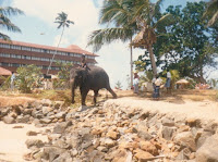 The manager of the elephant, traversing the beach between the various hotels.