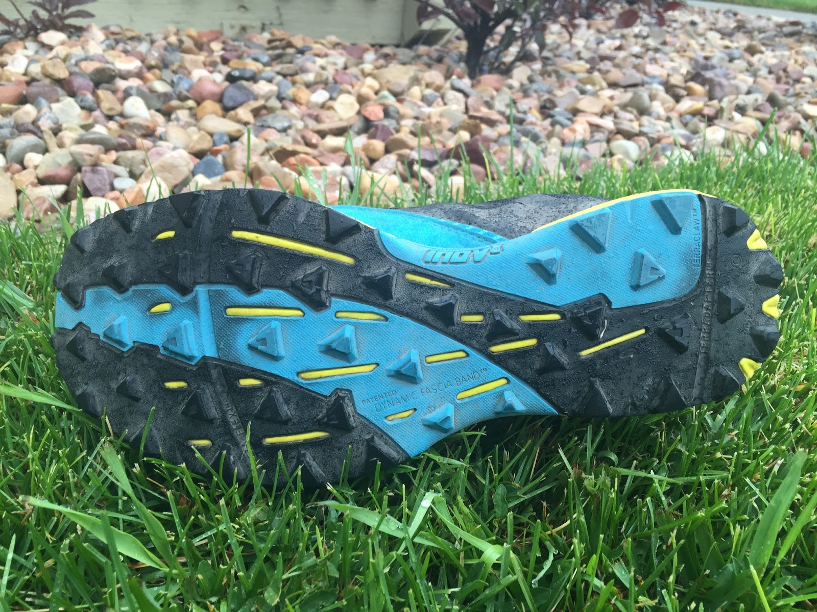 Road Trail Run Review Inov 8 TerraClaw 250 A Home Run Race