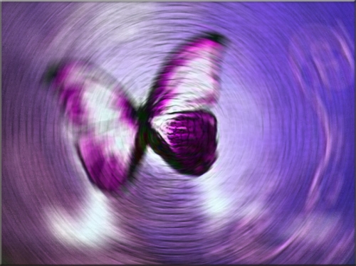 efecto mariposa