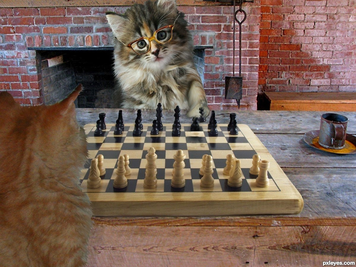 cara bermain catur trik catur