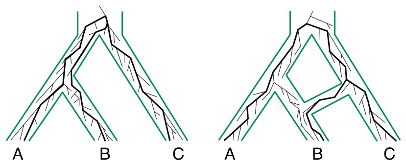 view the wiley handbook on the cognitive neuroscience of