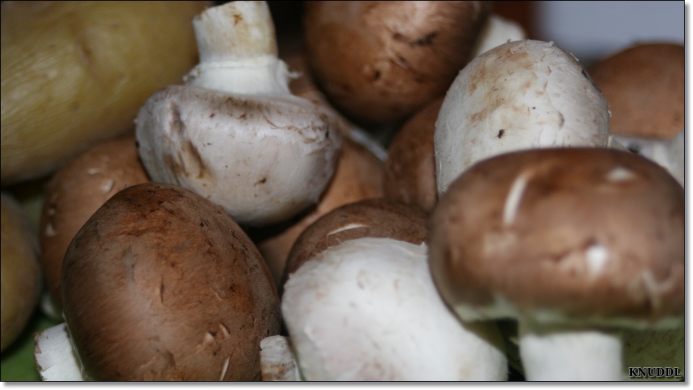 Als erstes die Zwiebel in feine Würfelchen schneiden.