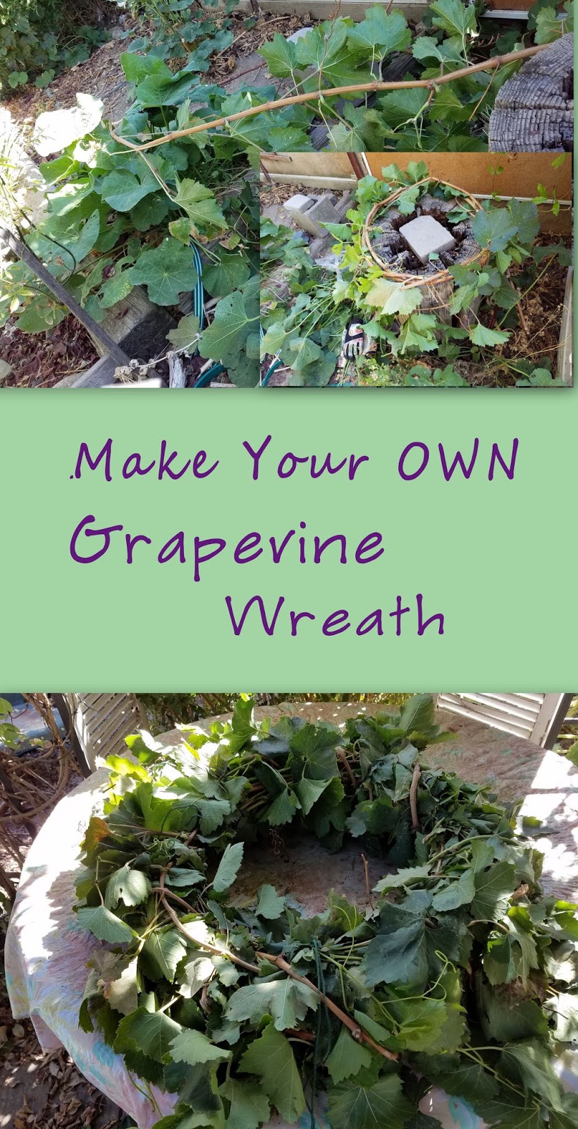 Dragonfly Treasure Make Your Own Grapevine Wreath