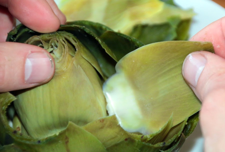 How to Cook and Eat Fresh Artichokes PractiGanic Vegetarian Recipes