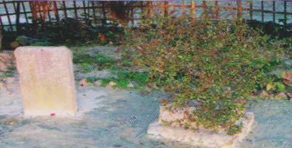 SHIPON BARUA (SHIPU): (Rangpur Division)