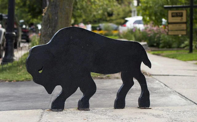 A Taste of Buffalo: Buffalo sculpture in Elmwood Village