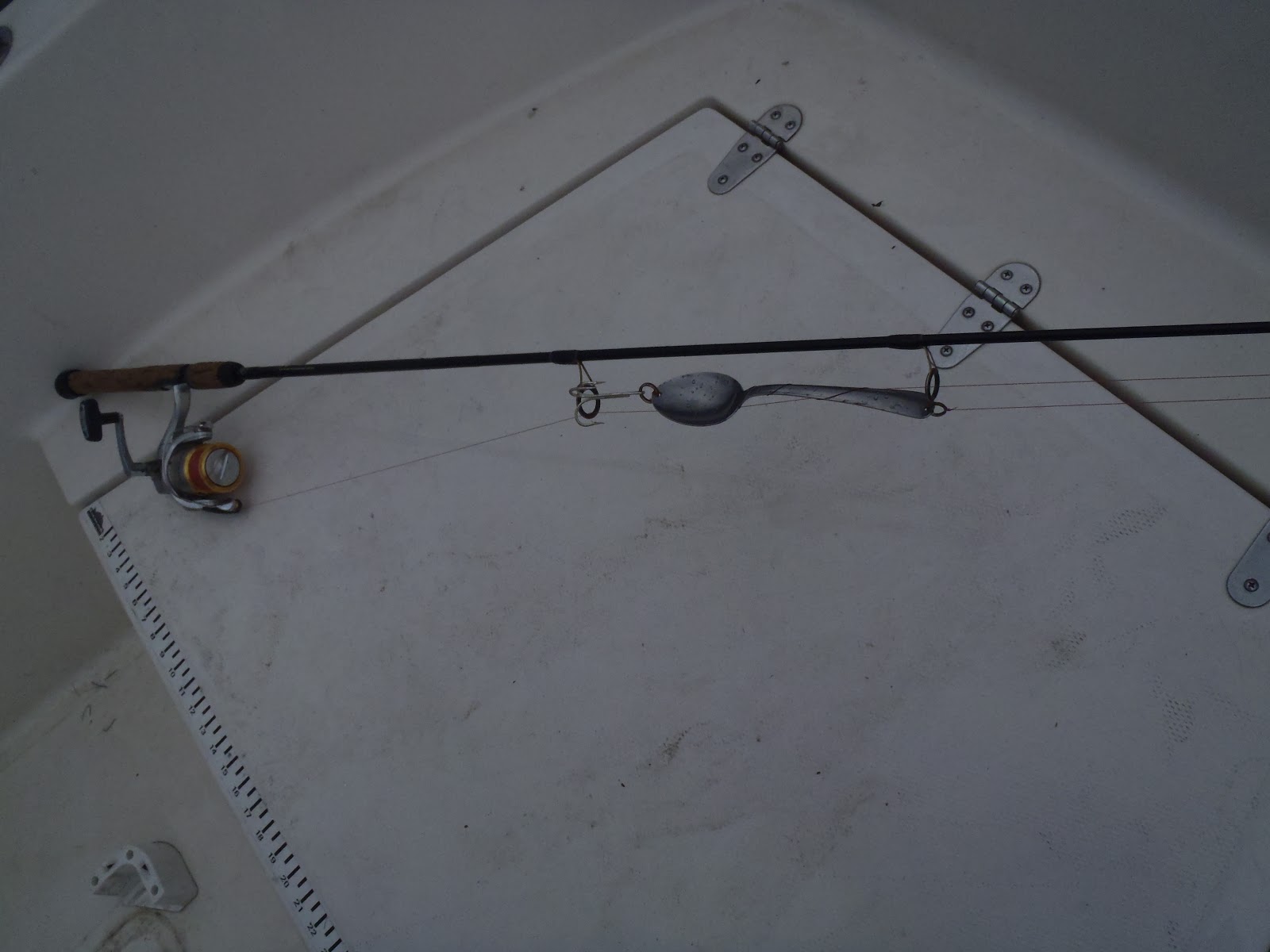 Fishing the Chesapeake Tried out my homemade jigging spoon